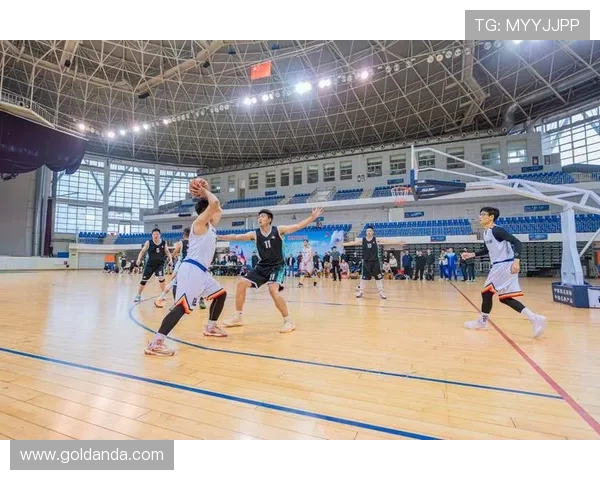 以篮球运动为核心推动全民体育活力与竞技精神融合发展之路新篇章